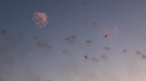 Colorful fireworks Stock Footage 5555300