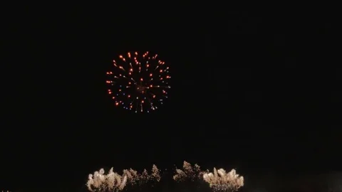 Colorful fireworks. Stock Footage 81768162