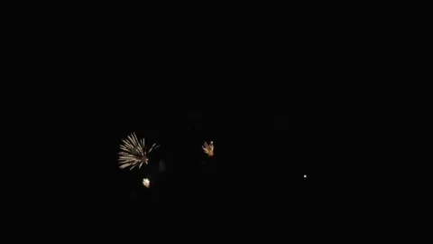 Colorful fireworks. Stock Footage 81771012