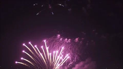 Colorful Fireworks Stock Footage 123558215