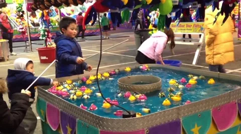 Colorful fish float in water Stock Footage 49282849