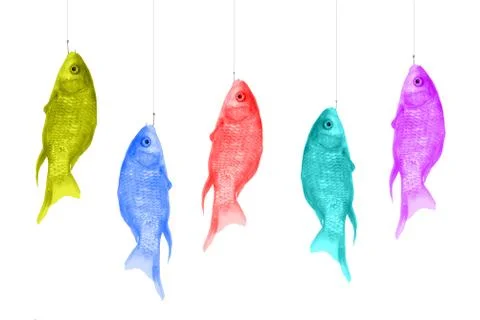 Colorful fish hanging on hooks. Shirts of bright colors on a white background Stock Photos