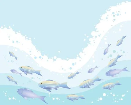Colorful fish Illustrazione stock