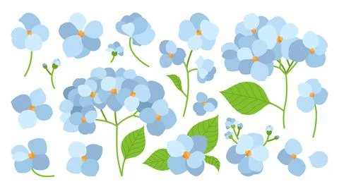 Colorful flat cartoon set of illustrations of hydrangea blue flowers. Stock Illustration
