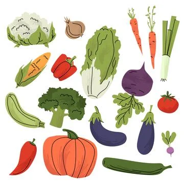Colorful flat illustration of assorted vegetables including pumpkin, broccoli Stock Illustration