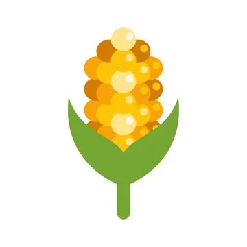Colorful flat vector illustration of corn on cob 库存插图