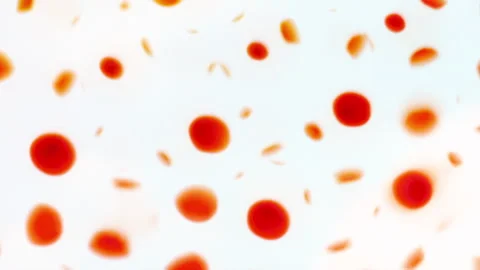 Colorful Flipping Halftone Pattern on a White Background Stock Footage 304983826