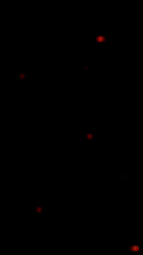 Colorful floating light particles moving in dark space Stock Footage 323529138