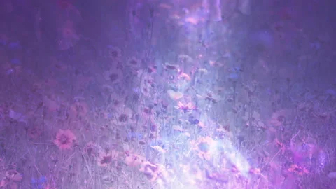 Colorful Floral Art Background Loop Stock Footage 139378964