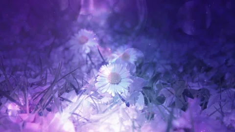 Colorful Floral Art Background Loop 스톡 동영상 139380184