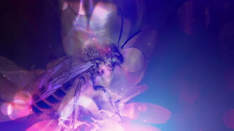 Colorful Floral Art Background Loop Stock-Footage 139382386