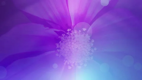 Colorful Floral Art Background Loop Stock Footage 139433359