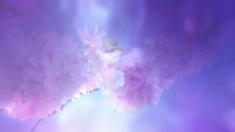 Colorful Floral Art Background Loop 스톡 동영상 139461185