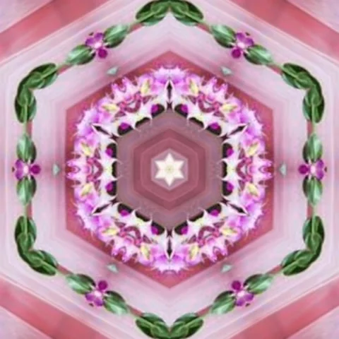 Colorful Floral Pattern, Seamless geometry Circle Kaleidoscope Stock Footage 227527133
