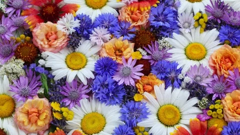 Colorful Flower Pattern Background With Daisies Roses And Wild Cornflowers 스톡 동영상 343281453