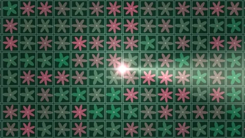 Colorful flower pattern on a dark background with bright Stock Footage 338326022