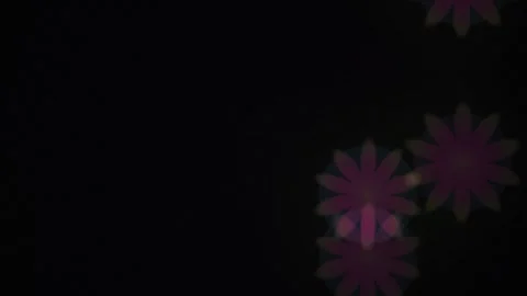 Colorful flower patterns on black background. Stock Footage 337456711