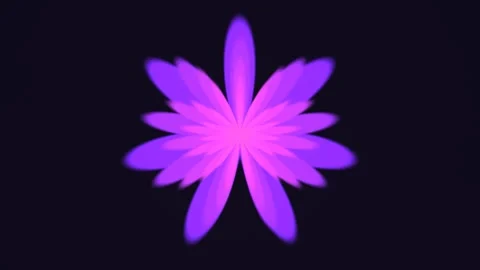 Colorful flower shape pattern on dark background during Stock Footage 338286685