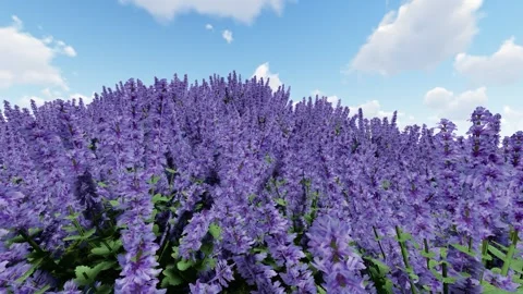 Colorful Flower Tree Under the Beautiful Sky Stock Footage 337250051