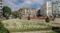Colorful flowerbed on background of beautiful Bilbao city center, sightseeing HD Footage
