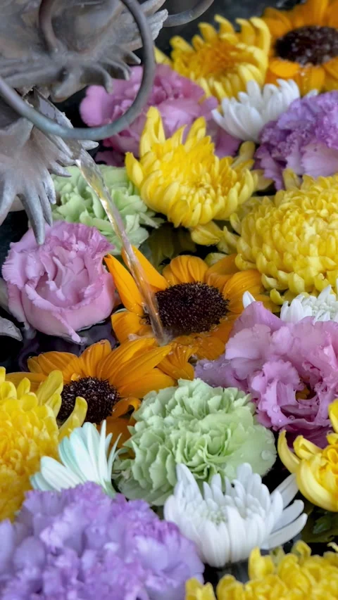Colorful flowers floating on water surface at shrine purification basin Vídeos de archivo 336933894