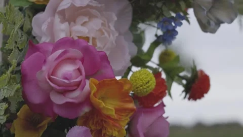 Colorful Flowers Stock Footage 262870238