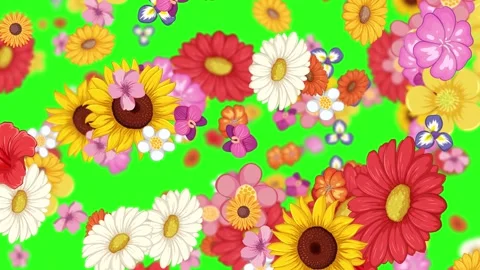 Colorful Flowers in Motion Vídeo Stock 301496805