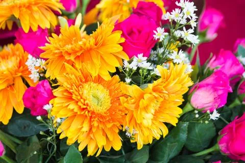 Colorful of flowers Stock Photos