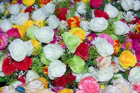 Colorful flowers Stock Photos