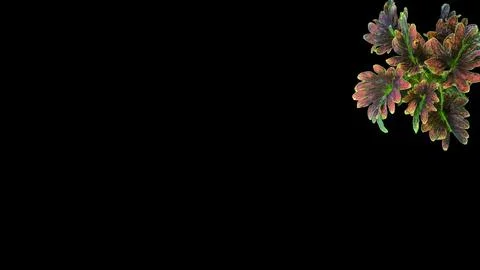 Colorful flowers with a soft texture with a solid background. Foto stock