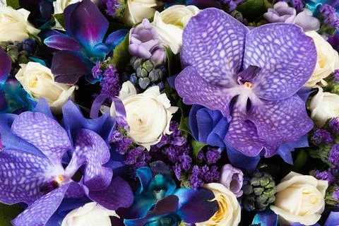 Colorful flowers texture background Stock Photos