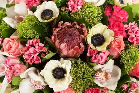 Colorful flowers texture background Stock Photos