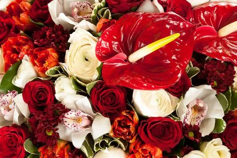 Colorful flowers texture background Stock Photos