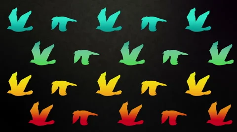 Colorful flying birds-HD Stock Footage 41410110