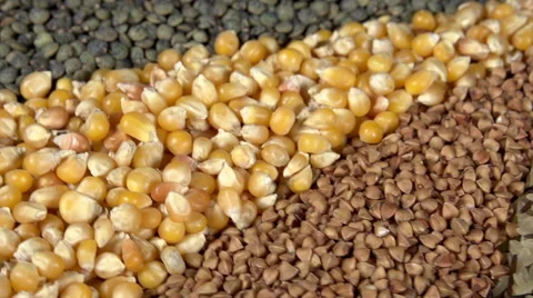 Colorful Foods Stock Footage 47581370