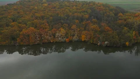 Colorful forest patch reflecting into the calm lake surface Vídeos de archivo 296572140
