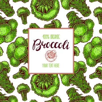 Colorful frame with broccoli Stock Illustration