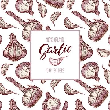 Colorful frame with garlic Stock Illustration