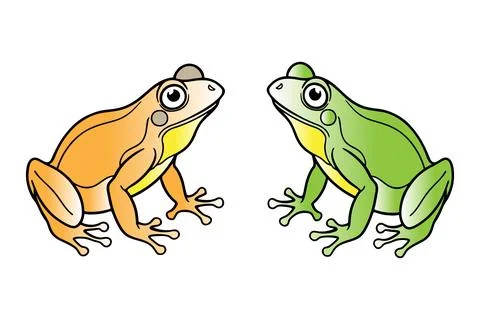 Colorful frog set vector Stock Illustration