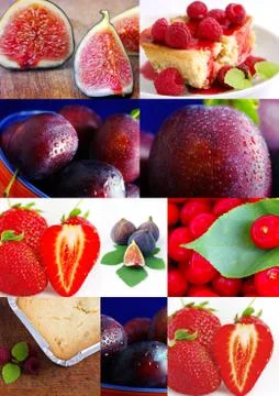 Colorful fruit collage Stock Photos