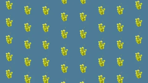 Colorful fruit pattern of fresh grapes on blue background. Seamless pattern with Stock Footage 167484360