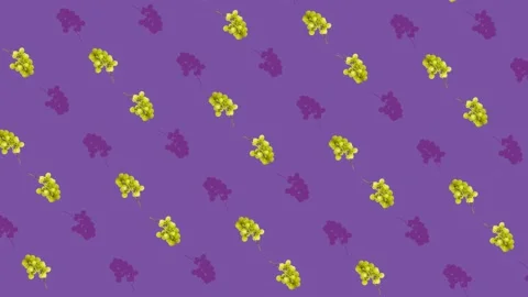 Colorful fruit pattern of fresh grapes on purple background. Seamless pattern Stock Footage 167484734