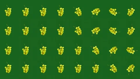 Colorful fruit pattern of fresh grapes on green background. Seamless pattern Stock Footage 167485312