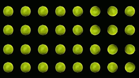 Colorful fruit pattern of fresh limes on black background. Seamless pattern with Stock Footage 167478134