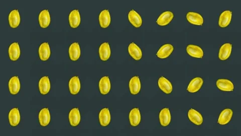 Colorful fruit pattern of fresh mango on green background. Seamless pattern with Stock Footage 167476979