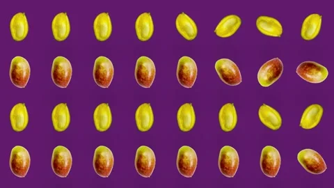 Colorful fruit pattern of fresh mango on violet background. Seamless pattern Stock Footage 167477676