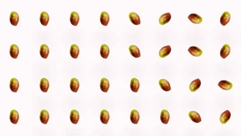 Colorful fruit pattern of fresh mango on pink background. Seamless pattern with Stock Footage 167485193