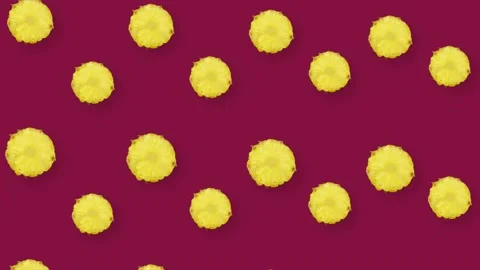 Colorful fruit pattern of fresh pineapple. Seamless pattern with pineapple Stock Footage 167486597