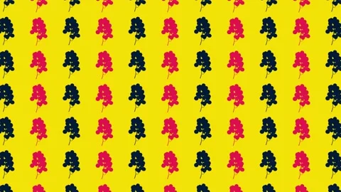 Colorful fruit pattern of fresh pink and black grapes on yellow background Video stock 167487164