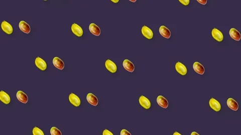 Colorful fruit pattern of fresh rotating mango on violet background. Seamless Stock Footage 167474949
